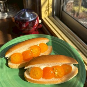 TPC_79403c5c21dce7c3116151e20785433c